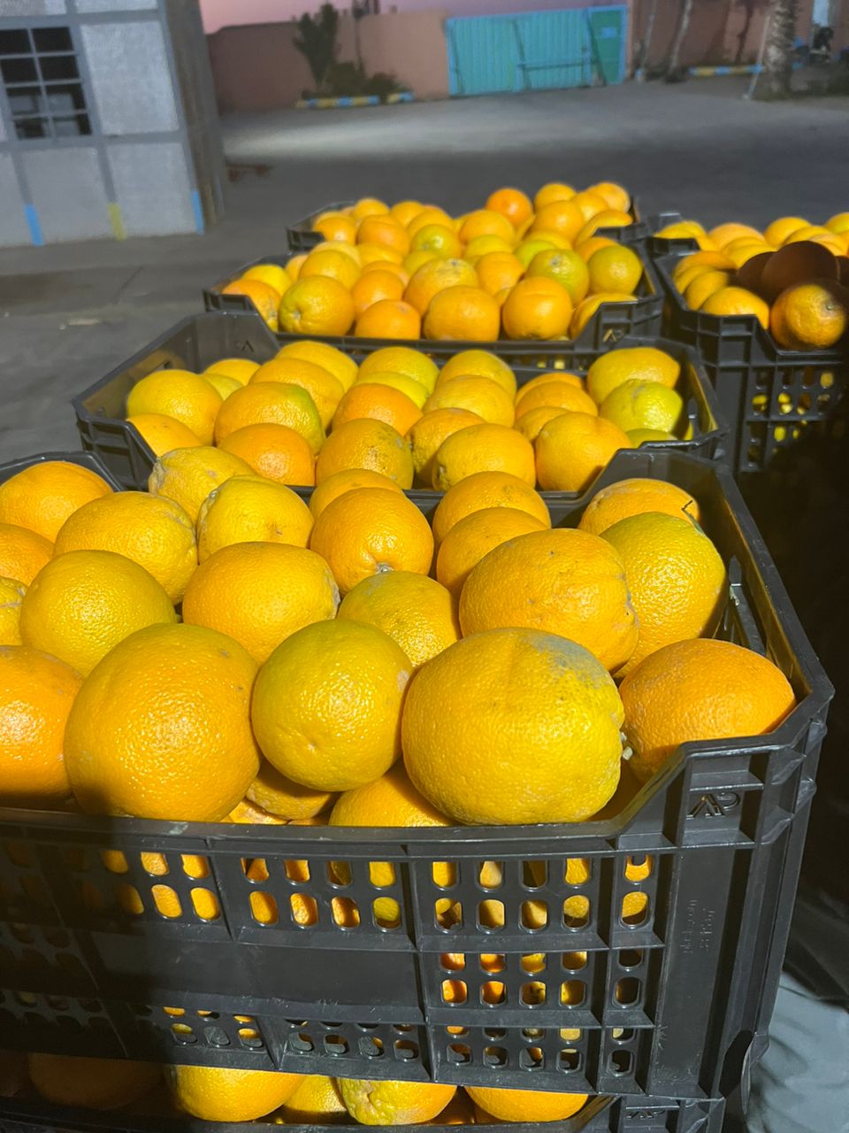 African Fruits