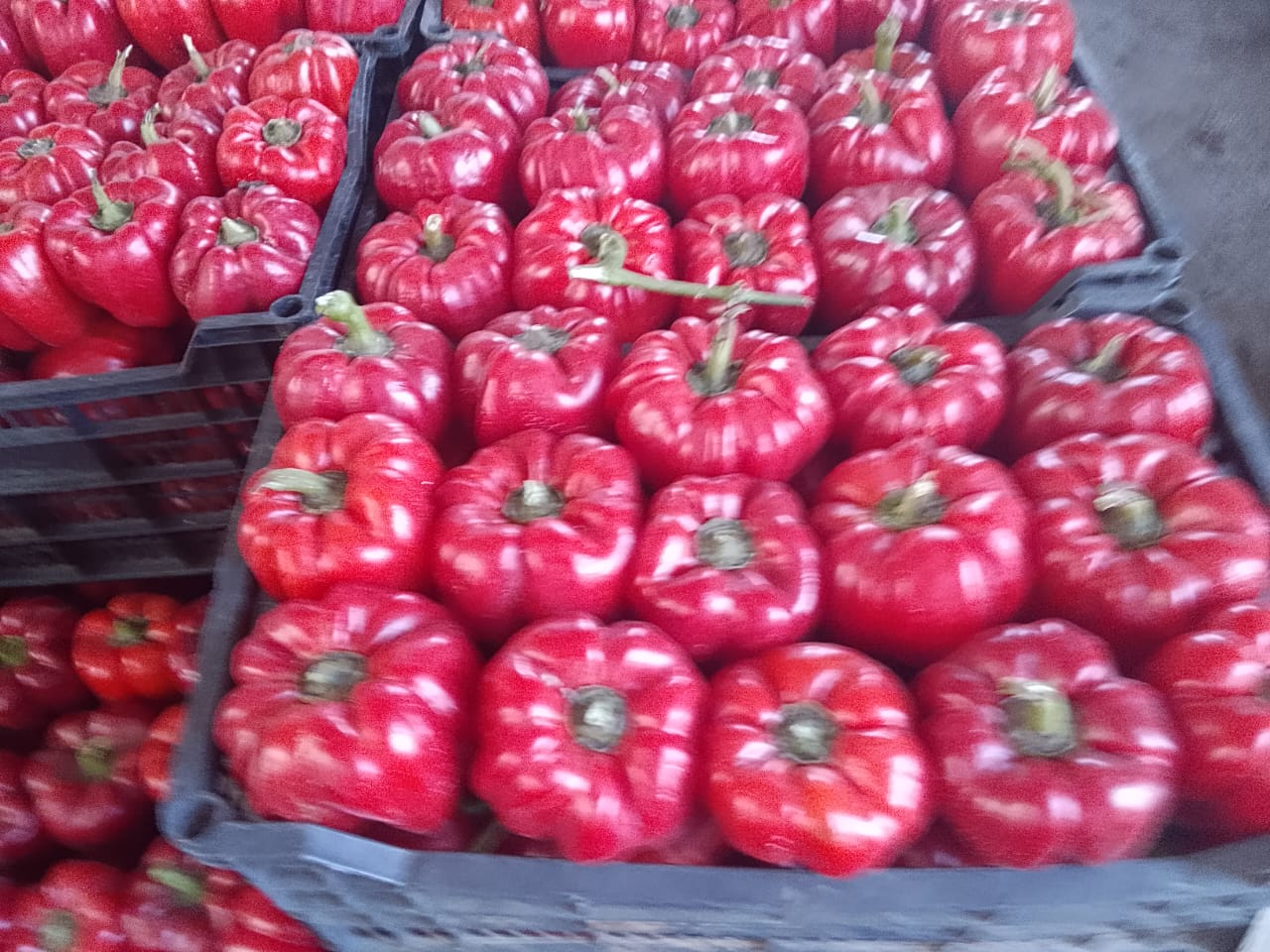Vegetables